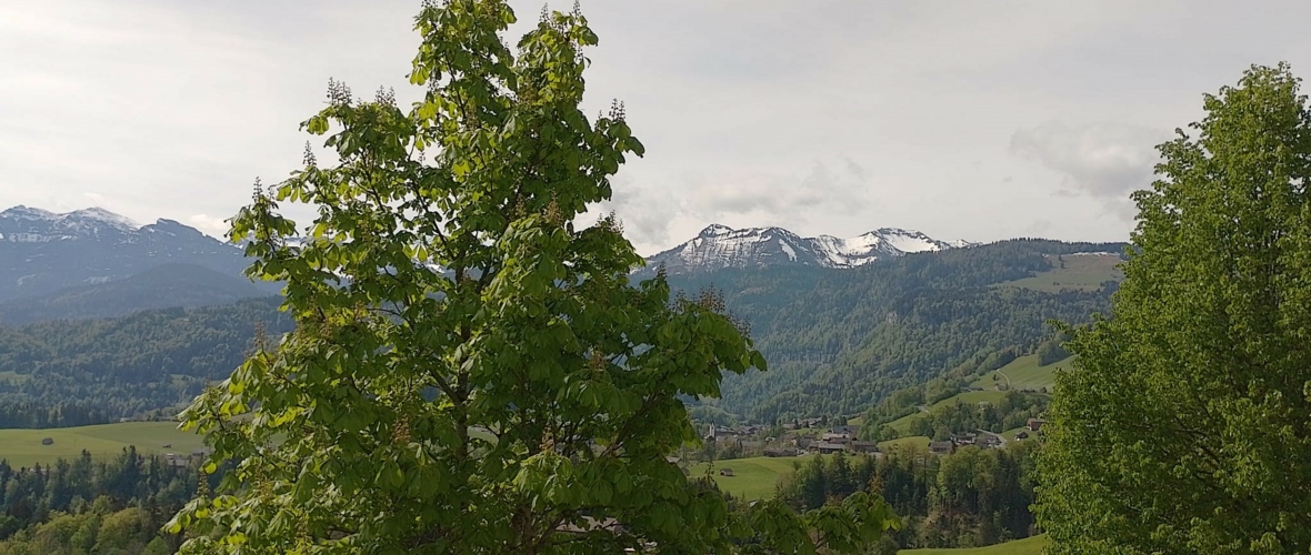 aussicht.maien aussicht.maien
