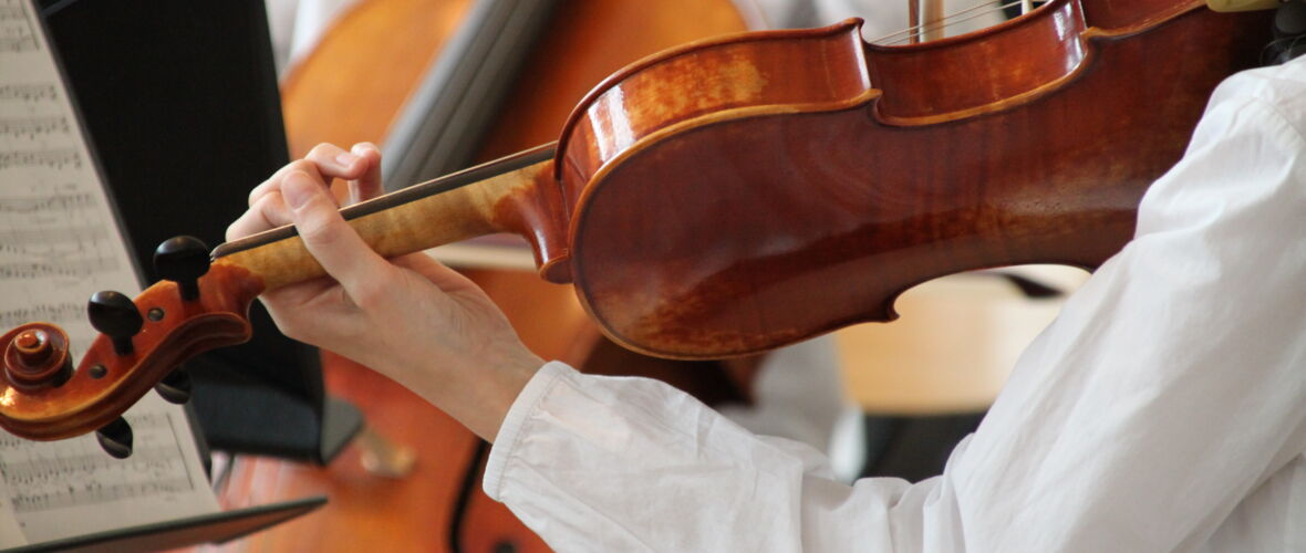 Violine Violine