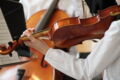 Violine