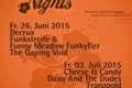 digiflyer summernights 15