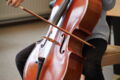 Violoncello