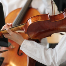 Violine