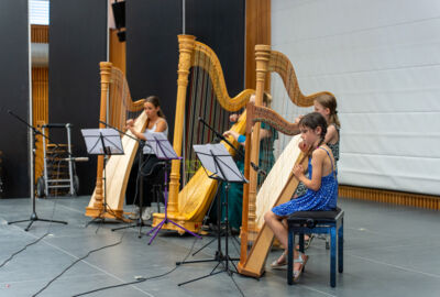 Serenadenkonzert, Harfenensemble