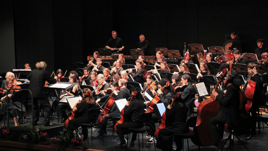 IMG_1523 IMG_1523